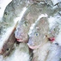 О причинах приостановления оформления партии мороженой рыбы и морепродуктов, поступившей с предприятия Вьетнама