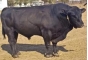 О причинах задержания партии спермы быков-производителей, поступившей из Канады и США