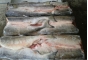  О причинах приостановления оформления партии свежемороженой рыбы, поступившей на склад временного хранения в Московской области, для перемещения в г. Якутск