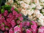  О выявлении карантинного для Российской Федерации объекта в срезах цветов роз кустовых, происхождением Италия