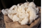 О причинах задержания 48 тонн овечьей шерсти, поступившей из Германии в Московский регион