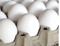 О причинах приостановления двух партий инкубационного яйца, поступившего из Великобритании и Венгрии