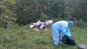 Об уничтожении полуразложившихся частей свиней, обнаруженных в лесном массиве в Московской области