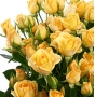 О выявлении карантинного для РФ объекта в срезах цветов кустовых роз, происхождением Кения