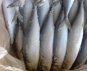  О причинах приостановления оформления готовой рыбной продукции, поступившей из г. Петропавловск-Камчатский в Московский регион