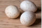 О причинах приостановления оформления партии инкубационных яиц цесарки, поступивших из Франции