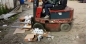 Россельхознадзор изъял из оборота  молочную продукцию, запрещенную к ввозу на территорию Российской Федерации, на одном из московских складских комплексов