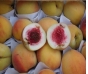 О проведении Россельхознадзором фумигации персиков свежих, зараженных карантинным для РФ объектом в Московской области