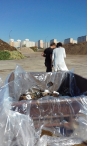 Россельхознадзор уничтожил партии горшечной цветочной продукции, зараженные карантинным для РФ объектом в г. Москва