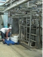 Подмосковный производитель молочной продукции оштрафован Россельхознадзором за поставки фальсификата в бюджетные учреждения и нарушения на производстве