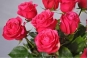 Управлением Россельхознадзора по городу Москва, Московской и Тульской областям выявлен карантинный для РФ объект в срезах цветов розы, происхождением Эфиопия