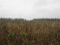 Россельхознадзор назначил крупный штраф собственнику земельных участков сельскохозяйственного назначения в Московской области 