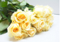 В срезах цветов роз происхождением Нидерланды выявлен карантинный для РФ объект