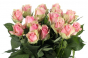 В срезах цветов роз происхождением Кения выявлен карантинный для РФ объект