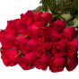 В срезах цветов роз происхождением Эквадор выявлен карантинный для РФ объект