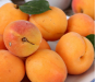 В свежих абрикосах, поступивших из Республики Таджикистан, выявлена Персиковая плодожорка