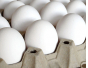 Причины приостановления оформления партии инкубационных яиц, поступившей в Московский регион из Турции