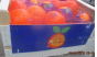 Россельхознадзором пресечен ввоз более 19 тонн апельсинов, зараженных карантинным объектом