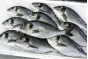 Причины возврата партии рыбы, следовавшей из Японии