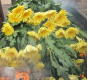В срезах цветов хризантемы, происхождением Эквадор, выявлен карантинный для РФ объект