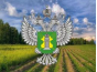 В Московской области арендатор земельного участка допустил его зарастание и захламление 