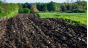 Управление Россельхознадзора по городу Москва, Московской и Тульской областям с начала года выявило пять случаев нарушения земельного законодательства с нанесением вреда почвам