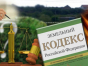 Собственники допустили зарастание земельного участка древесно-кустарниковой и сорной растительностью в Серпуховском городском округе Московской области 
