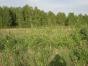 Собственник сельхозучастка в Московской области привлечен к ответственности за перекрытие плодородного слоя почвы и размещение мусора