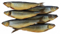 Россельхознадзор отозвал декларацию о соответствии у производителя рыбной продукции за нарушения требований технических регламентов ЕАЭС