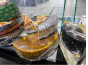 Управлением Россельхознадзора в г. Люберцы пресечена реализация сыров, запрещенных к ввозу в Российскую Федерацию