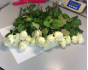 В срезах цветов розы, происхождением Нидерланды, выявлен карантинный для РФ объект