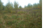 Управление Россельхознадзора привлекло к ответственности собственника сельхозучастка в Московской области за перекрытие плодородного слоя почвы