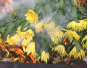 В срезах цветов хризантемы, происхождением Нидерланды, выявлен карантинный для РФ объект 