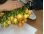 Россельхознадзор выявил карантинный для РФ объект в срезах цветов розы, происхождением Нидерланды