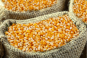 Суд привлек к ответственности организацию в Тульской области за неуведомление о прибытии семян кукурузы для посева
