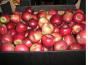 В марте 2022 года Управлением Россельхознадзора по городу Москва, Московской и Тульской областям проведен контроль более 9,5 тыс. тонн свежих яблок, поступивших в Московский регион из Республики Сербия