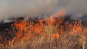 Управление Россельхознадзора по городу Москва, Московской и Тульской областям напоминает о профилактике пожароопасных ситуаций на землях сельхозназначения 
