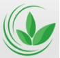 Управлением Россельхознадзора проведен мониторинг карантинного фитосанитарного состояния подмосковной организации, реализующей зеленные культуры