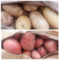 В период с апреля по июнь 2022 года Россельхознадзор проконтролировал более 8,2 тыс. тонн молодого картофеля, поступившего в Московский регион из Республики Азербайджан