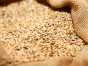 Россельхознадзор выдал предостережение тульскому фермеру за нарушение процедуры декларирования пшеницы