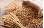 Россельхознадзор выдал предостережение тульскому предпринимателю за нарушение процедуры декларирования 2 тысяч тонн пшеницы