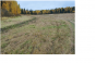 В Московской области ликвидирована несанкционированная свалка на землях сельхозназначения